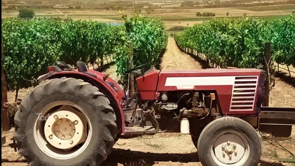 نمایندگی مزرعه سبز میاندرود در رشت